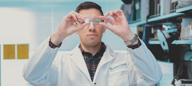 A young MS researcher examines a slide in his lab.