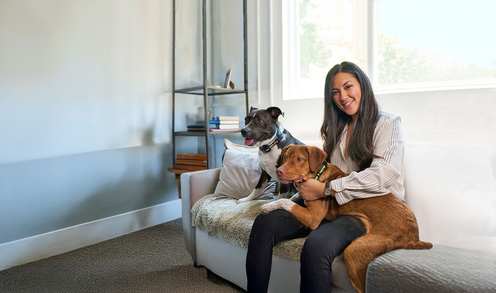 Person on a white couch holding two dogs in a sunlit living room with a bookshelf in the background.